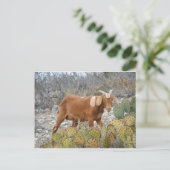 ブラウンはヤギに斑点を付けました ポストカード (スタンド正面)
