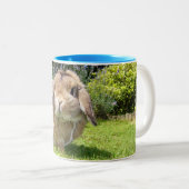 ブラウンはラベンダーが付いている耳のウサギを取り除きました ツートーンマグカップ (正面右)