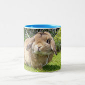 ブラウンはラベンダーが付いている耳のウサギを取り除きました ツートーンマグカップ (中央)