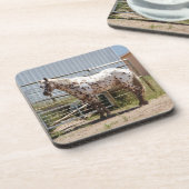 ブラウンはappaloosaの馬のコースターに斑点を付けました コースター (左側)