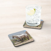 ブラウンはappaloosaの馬のコースターに斑点を付けました コースター (右側)