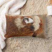 ブラウンアルパカカスタム装飾用クッション ランバークッション (ブランケット)