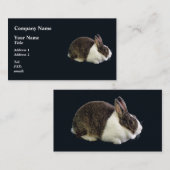 ブラウンアンドホワイトオランダウサギ 名刺 (正面/裏面)