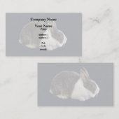 ブラウンアンドホワイトオランダウサギ 名刺 (正面/裏面)