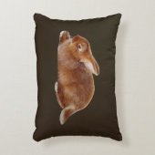 ブラウンウサギ アクセントクッション (正面(垂直))