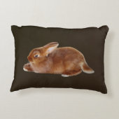 ブラウンウサギ アクセントクッション (裏面)