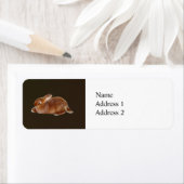 ブラウンウサギ ラベル (インサイチュ)