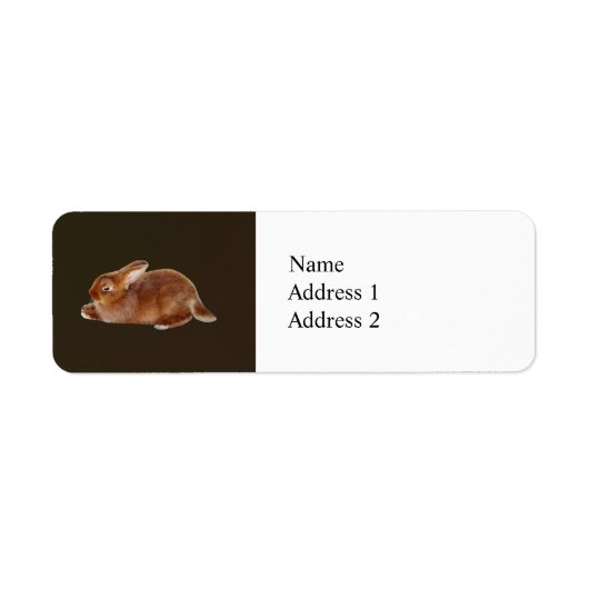 ブラウンウサギ ラベル (正面)
