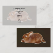 ブラウンウサギ 名刺 (正面/裏面)
