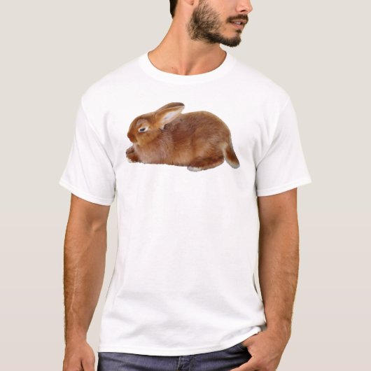 ブラウンウサギ Tシャツ (正面)