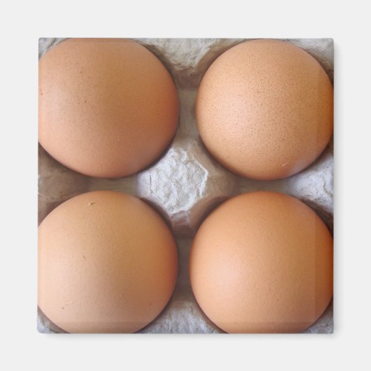 ブラウンエッグマグネット マグネット (正面)