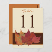 ブラウンオレンジのアイボリー葉乾燥したテーブル番号カード ポストカード (正面/裏面)