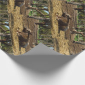 ブラウンカウアフタヌーンシエスタ ラッピングペーパー (角)