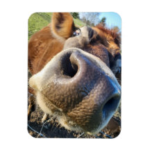 ブラウンカウズすごいクローズアップ