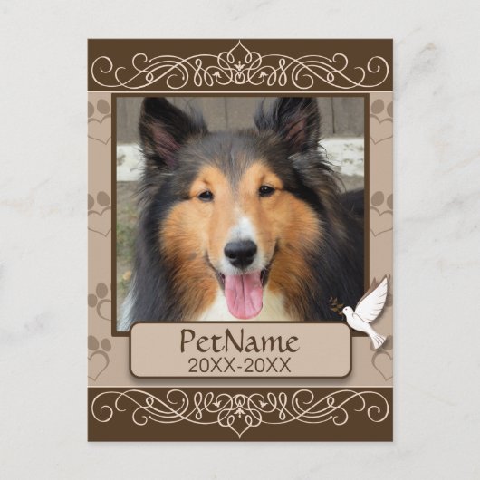 ブラウンカリグラフスワカスタムールズペット悔やみや弔慰 ポストカード (正面)