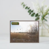 ブラウンキッテリーシーポイントビーチメイン自然 ポストカード (スタンド正面)