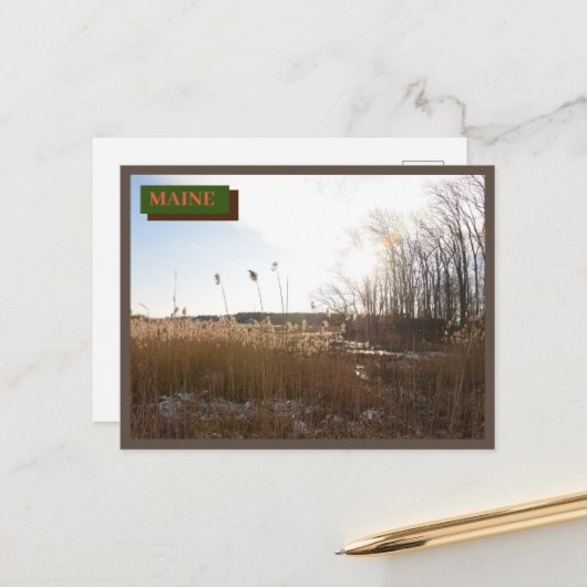 ブラウンキッテリーシーポイントビーチメイン自然 ポストカード (正面/裏面インサイチュ)