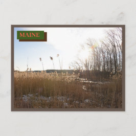 ブラウンキッテリーシーポイントビーチメイン自然 ポストカード