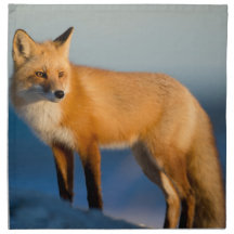 ブラウンキツネ布ナプキン