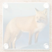 ブラウンキツネ ガラスコースター (裏面)