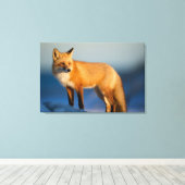 ブラウンキツネ キャンバスプリント (インサイチュ (ウッドフロア))