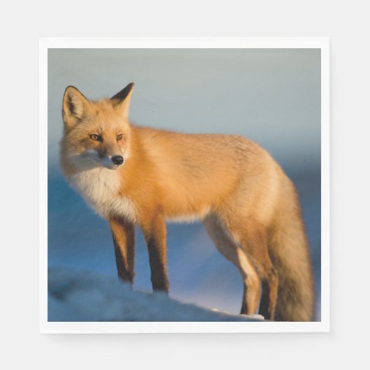 ブラウンキツネ スタンダードランチョンナプキン (正面)