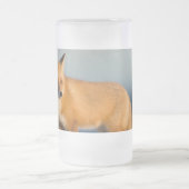 ブラウンキツネ フロストグラスビールジョッキ (中央)