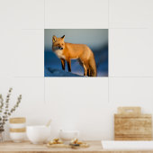 ブラウンキツネ ポスター (キッチン)