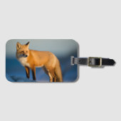 ブラウンキツネ ラゲッジタグ (正面横)