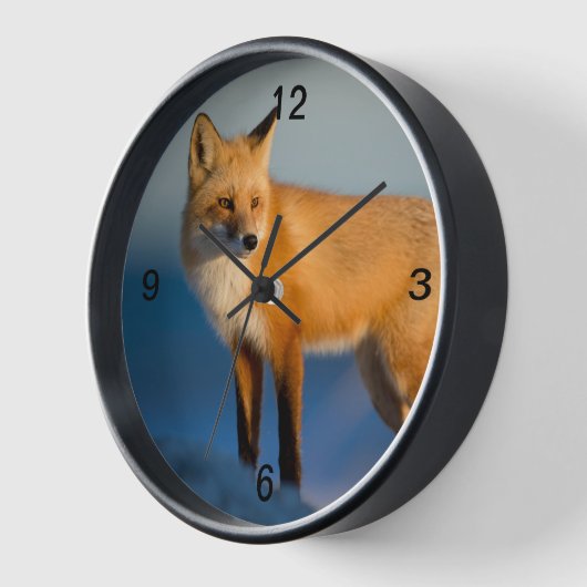 ブラウンキツネ 壁時計 (傾斜)