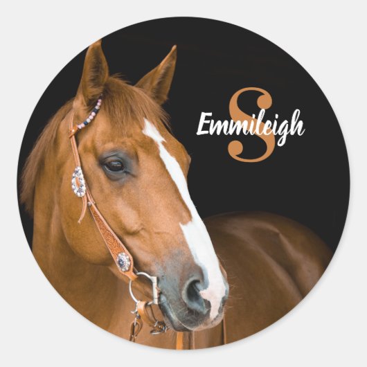 ブラウンクォーターホースブラックモノグラム名イニシャル ラウンドシール (正面)