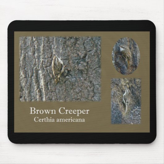 ブラウンクリーパーソングバード調整項目 マウスパッド (正面)