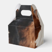 ブラウンクリームブラック南西コウィド フェイバーボックス (裏面サイド)