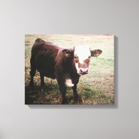ブラウンクリーム牛 キャンバスプリント (正面)