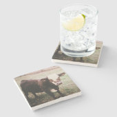 ブラウンクリーム牛 ストーンコースター (横)