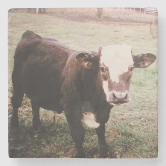 ブラウンクリーム牛 ストーンコースター (正面)