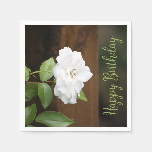 ブラウングリーンとホワイトガーデンスタイルの紙 スタンダードカクテルナプキン (正面)