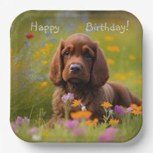 ブラウンコッカースパニエル犬