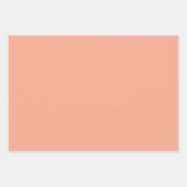 ブラウンシュガーベビーギフトラップ13 ラッピングペーパーシート (正面2)