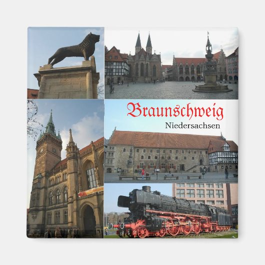 ブラウンシュヴァイグ マグネット (正面)