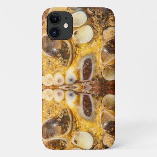 ブラウンジェムストーン石のテクスチャiPhone 11ケース Case-Mate iPhoneケース (裏面)