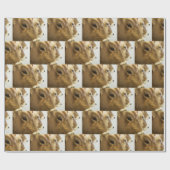 ブラウンスイス乳牛 ラッピングペーパー (フラット)