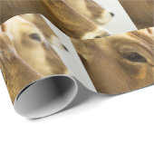 ブラウンスイス乳牛 ラッピングペーパー (ロールコーナー)