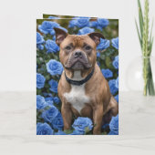 ブラウンスタッフィインブルーバラガーデンBdayカード カード (裏面)