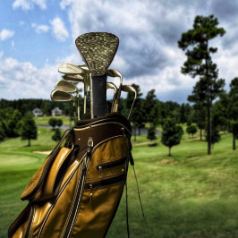 ブラウンストーン格子 ゴルフヘッドカバー