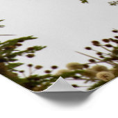 ブラウンスネークイーグル – サバンナのセンチネル ポスター (角)