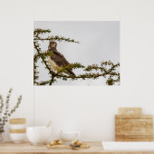 ブラウンスネークイーグル – サバンナのセンチネル ポスター (キッチン)