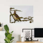 ブラウンスネークイーグル – サバンナのセンチネル ポスター (ホームオフィス)