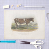 ブラウンスポッテッドカウエフエメラデクページヴィンテージファーム 薄葉紙 (クラフト)