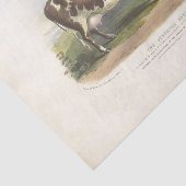 ブラウンスポッテッドカウエフエメラデクページヴィンテージファーム 薄葉紙 (詳細)